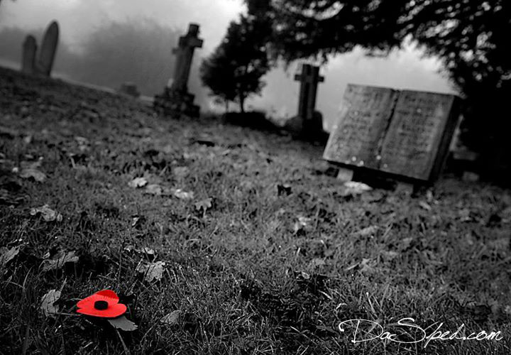 Remembrance - Lest We Forget